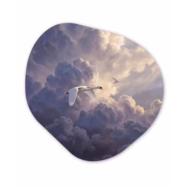 Organisch schilderij - Forex - Vogel - Vliegend - Natuur - Wit - Wolken — 1