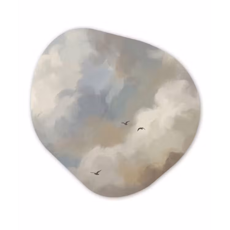 Organisch schilderij - Forex - Vogel - Wolken - Natuur - Modern - Grijs — 1