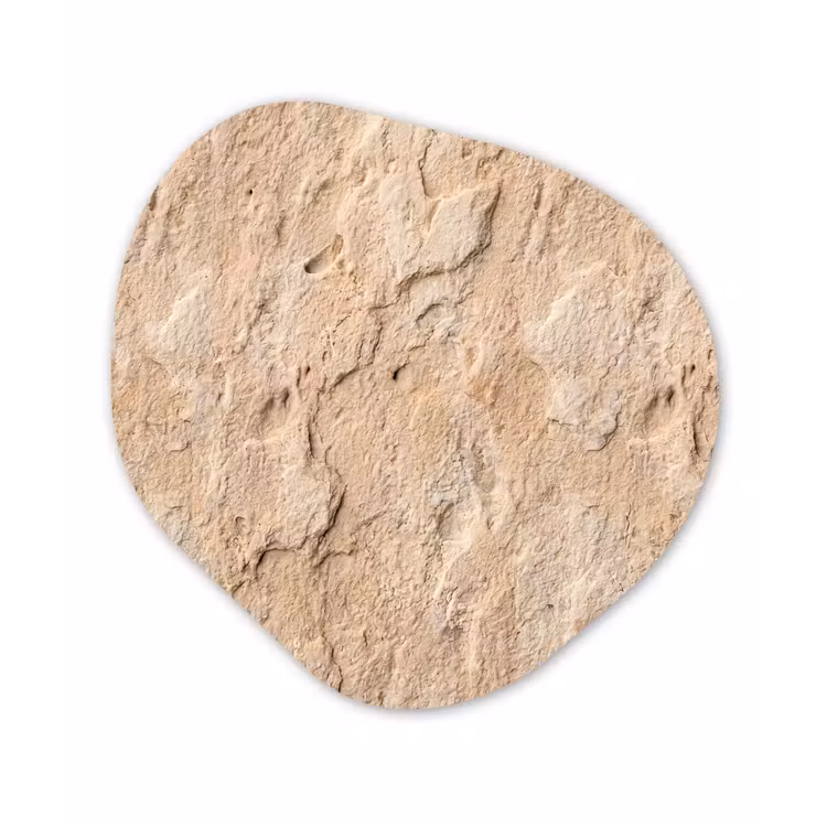 Organisch schilderij - Forex - Textuur - Steen - Natuur - Beige — 1