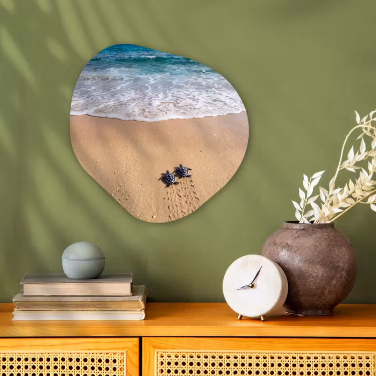 Organisch schilderij - Forex - Schildpad - Jong - Strand - Oceaan - Blauw — 2