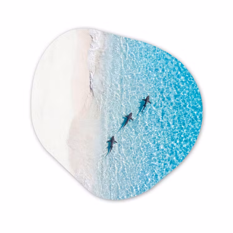 Organisch schilderij - Forex - Vis - Oceaan - Strand - Turquoise - Natuur — 1