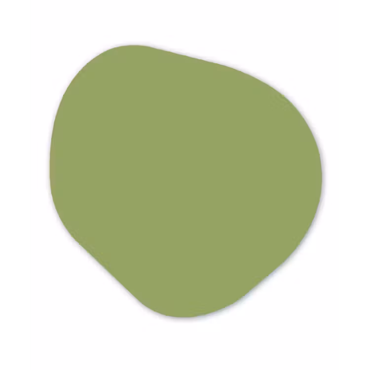 Organisch schilderij - Forex - Sage - Green - Groen — 1