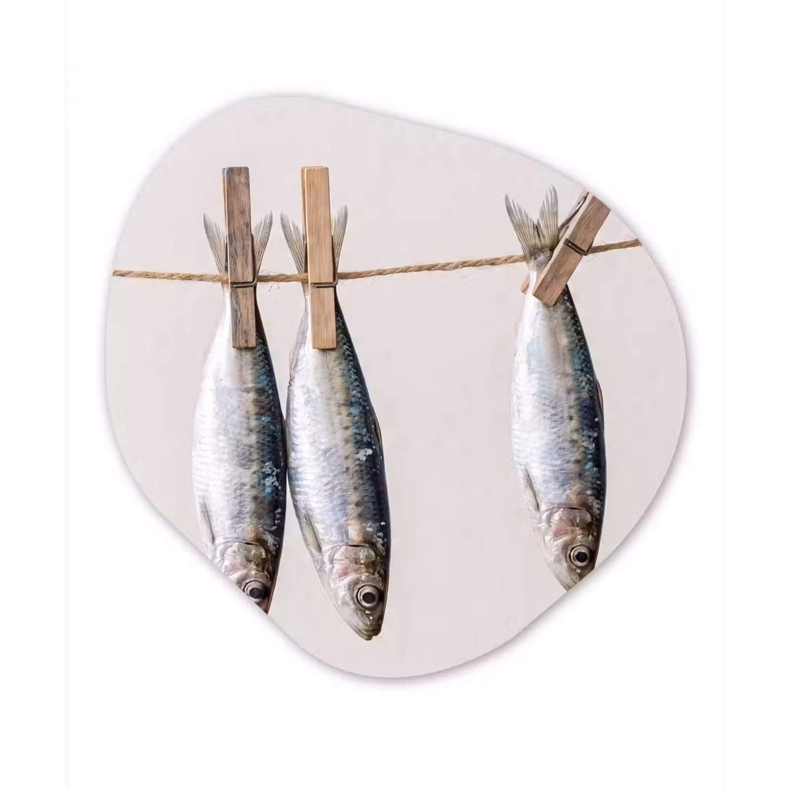 Organisch schilderij - Forex - Vis - Hangend - Eten — 1