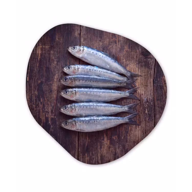 Organisch schilderij - Glas - Vis - Hout - Eten — 1