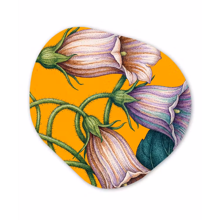 Organische vorm aluminium - Bloemen - Botanisch - Geel — 1