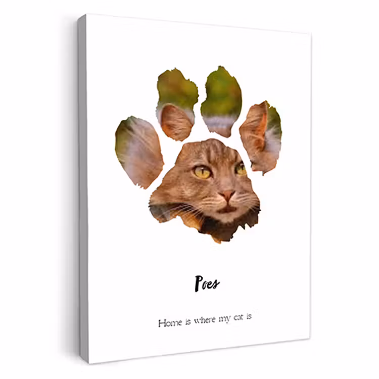 Canvas - Kattenpootje afdruk — 2