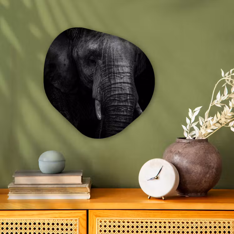 Organisch schilderij - Forex - Olifant - Dier - Portret — 2