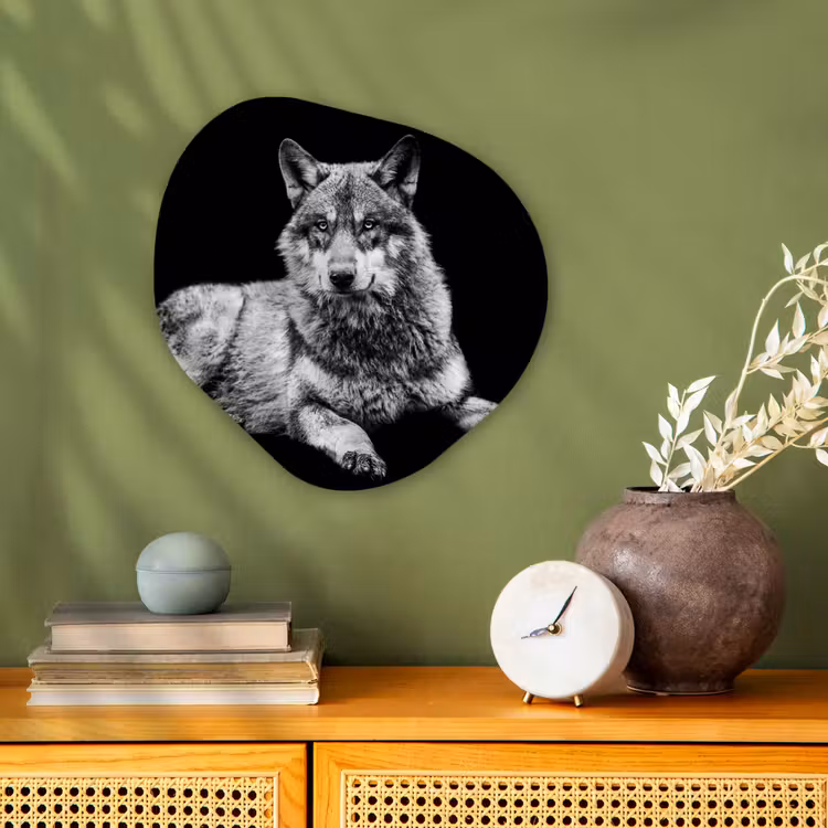 Organisch schilderij - Forex - Wilde dieren - Wolf - Zwart - Wit — 2