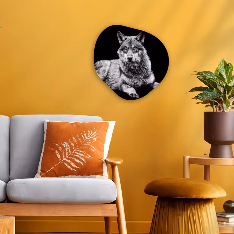 Organisch schilderij - Forex - Wilde dieren - Wolf - Zwart - Wit — 3