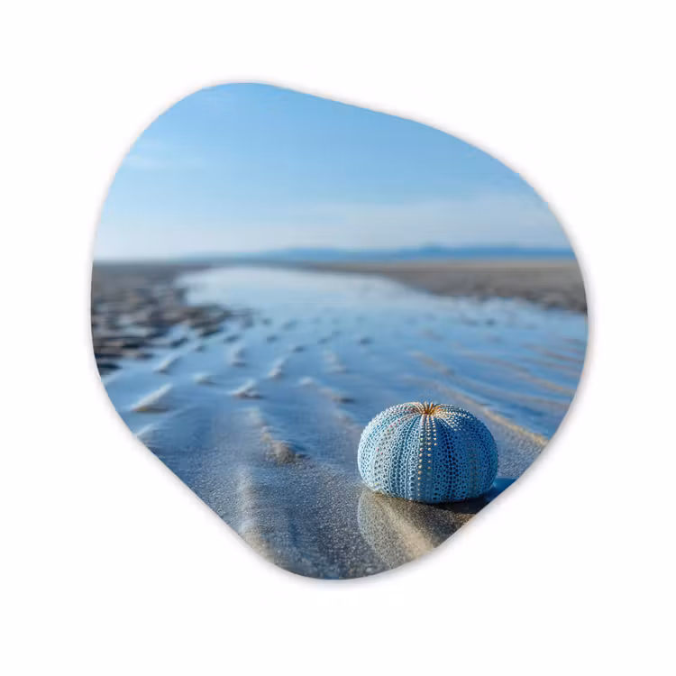 Organisch schilderij - Glas - Strand - Schild - Water - Blauw — 1