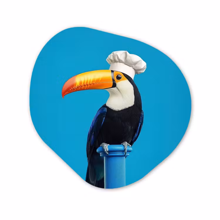 Organisch schilderij - Glas - Tucan - Sokkel - Vogel - Koksmuts — 1