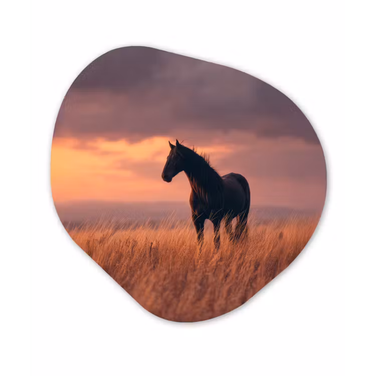 Organisch schilderij - Forex - Paard - Wolken - Open veld — 1