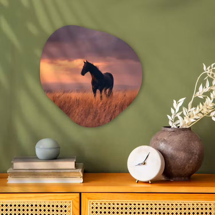 Organisch schilderij - Forex - Paard - Wolken - Open veld — 2