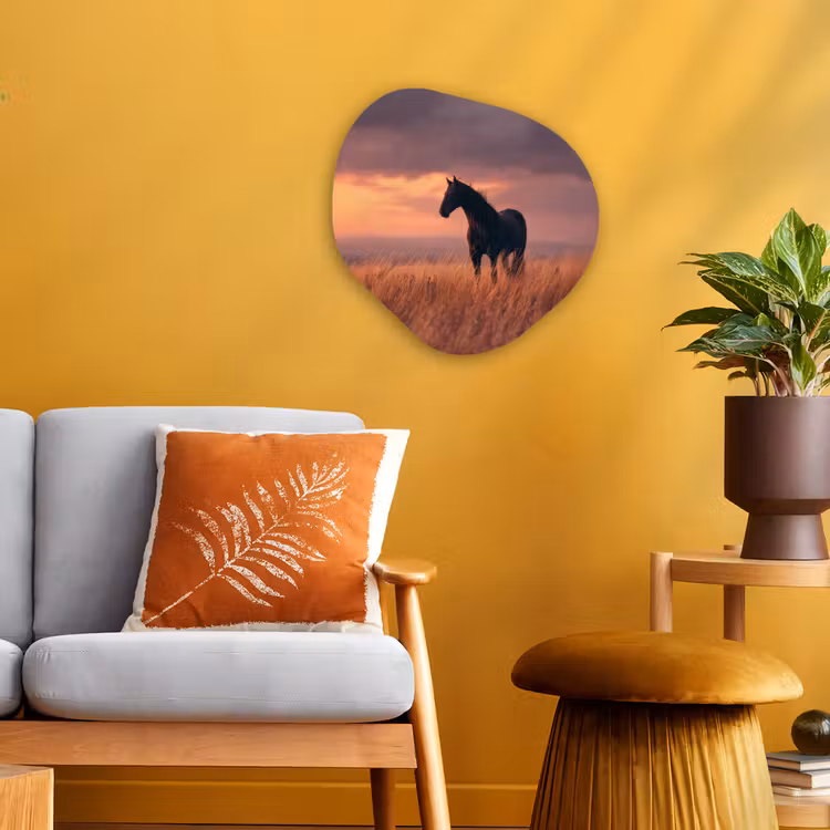 Organisch schilderij - Forex - Paard - Wolken - Open veld — 3