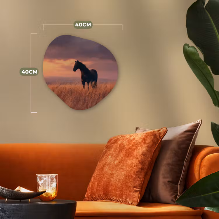 Organisch schilderij - Forex - Paard - Wolken - Open veld — 4