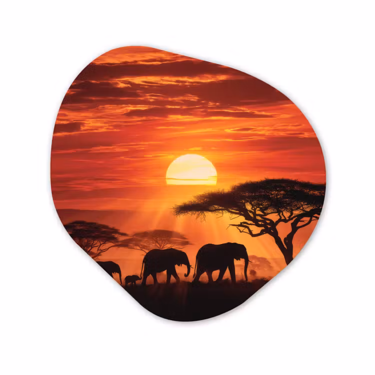 Organisch schilderij - Glas - Savanne - Olifanten - Zonsondergang — 1