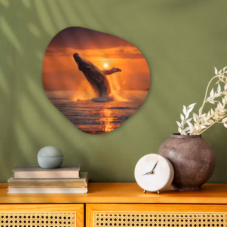 Organisch schilderij - Forex - Walvis - Zon - Zee — 2