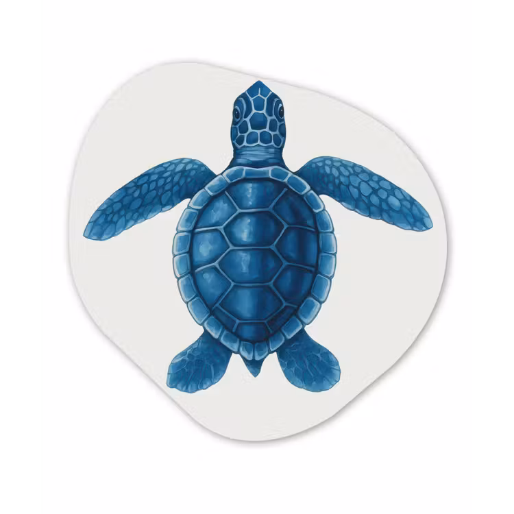 Organisch schilderij - Forex - Schildpad - Blauw - Schild — 1