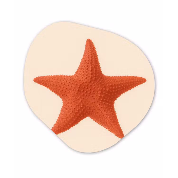 Organisch schilderij - Forex - Zeester - Bobbels - Rood — 1