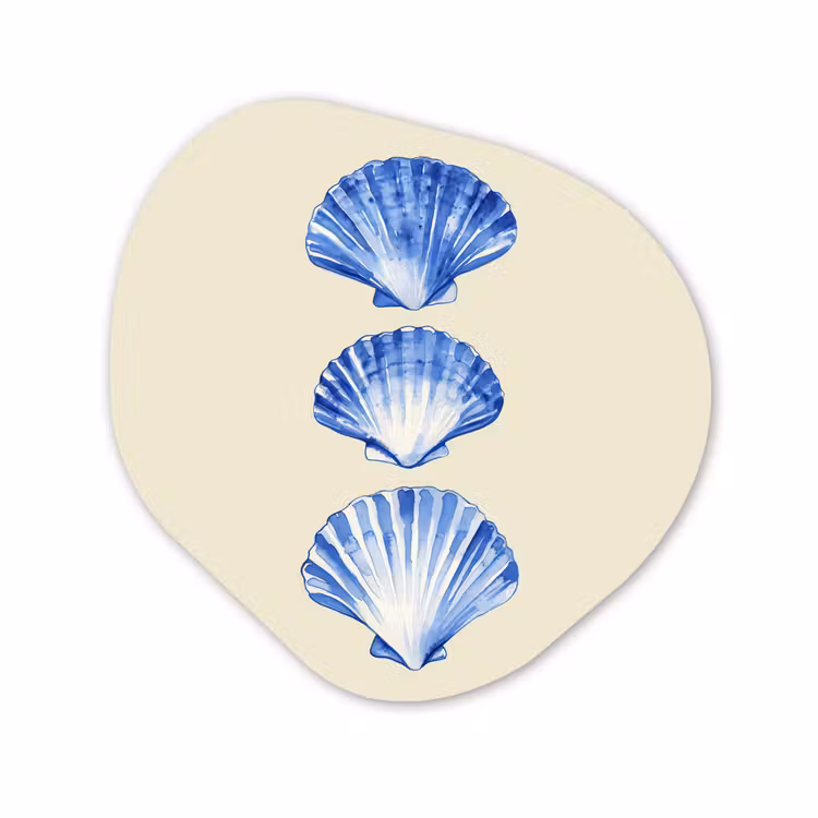 Organisch schilderij - Forex - Schelpen - Blauw - Beige — 1