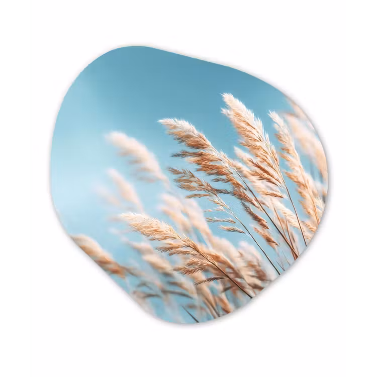 Organisch schilderij - Forex - Siergras - Wind - Lichtbruin — 1