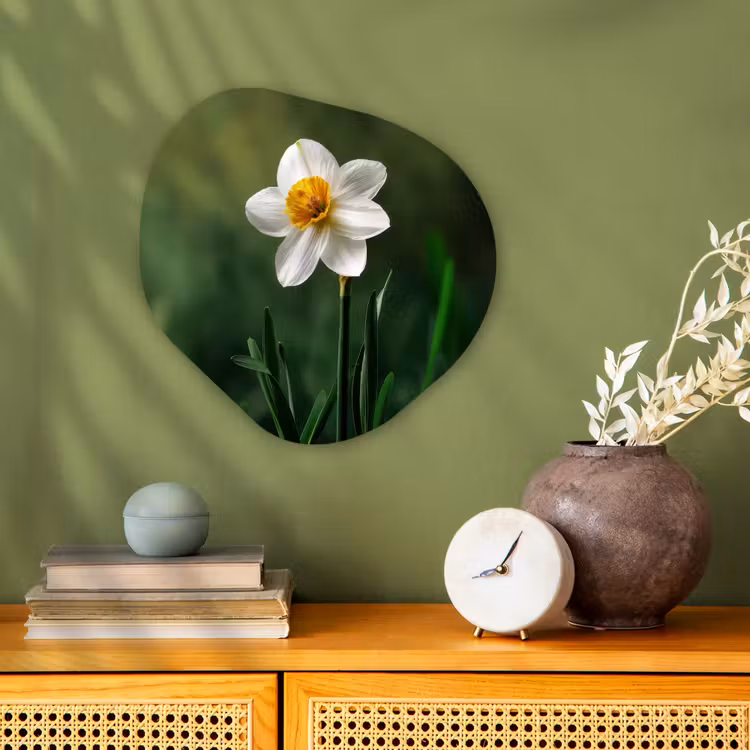 Organisch schilderij - Forex - Narcis - Bloem - Wit - Grassprieten — 2