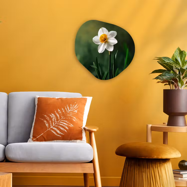 Organisch schilderij - Forex - Narcis - Bloem - Wit - Grassprieten — 3
