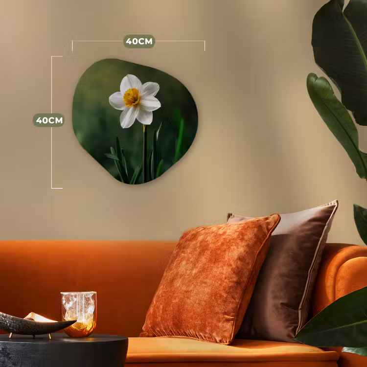 Organisch schilderij - Forex - Narcis - Bloem - Wit - Grassprieten — 4