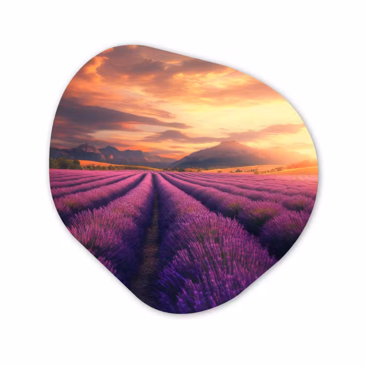 Organisch schilderij - Glas - Lavendelveld - Zonsondergang - Paars — 1