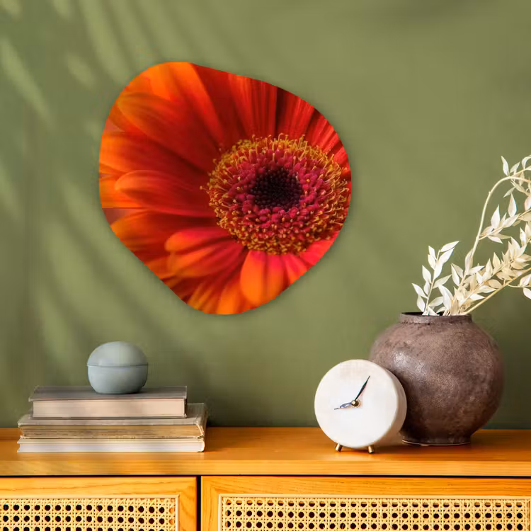 Organisch schilderij - Forex - Oranje - Gerbera - Intens — 2