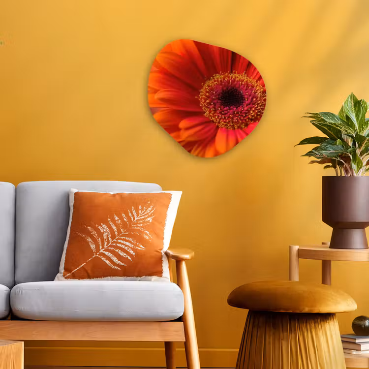 Organisch schilderij - Forex - Oranje - Gerbera - Intens — 3