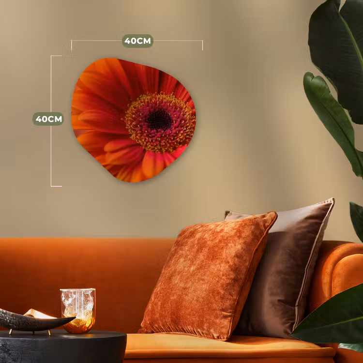 Organisch schilderij - Forex - Oranje - Gerbera - Intens — 4