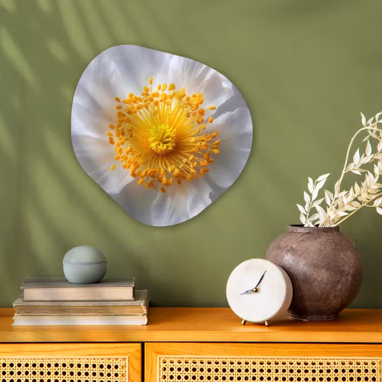 Organisch schilderij - Forex - Wit - Bloem - Elegant — 2
