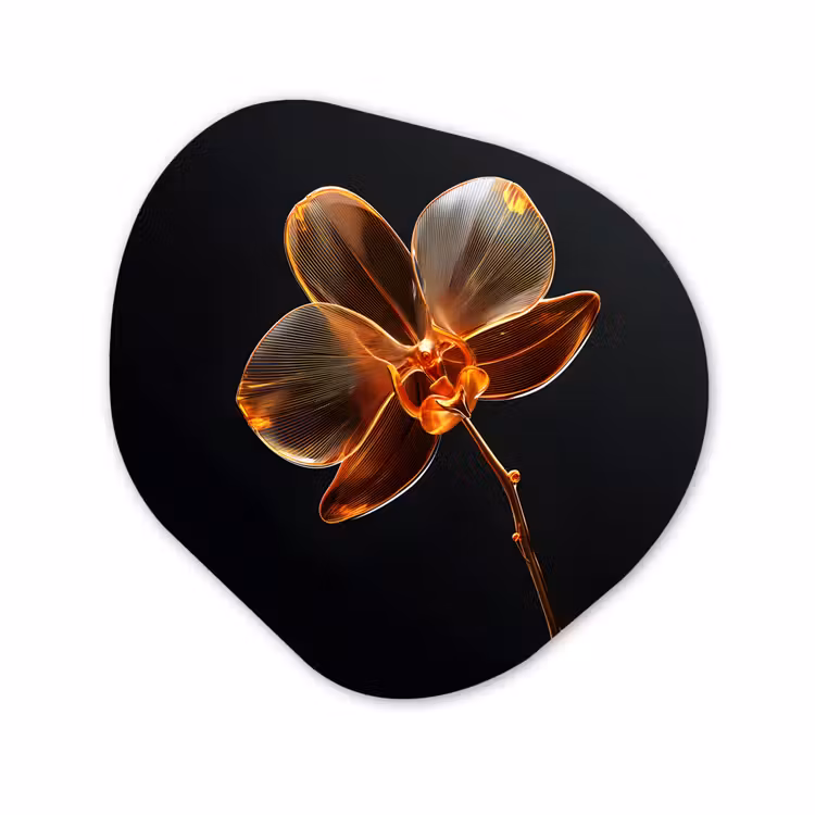 Organisch schilderij - Glas - Orchidee - Doorzichtig - Bloem — 1
