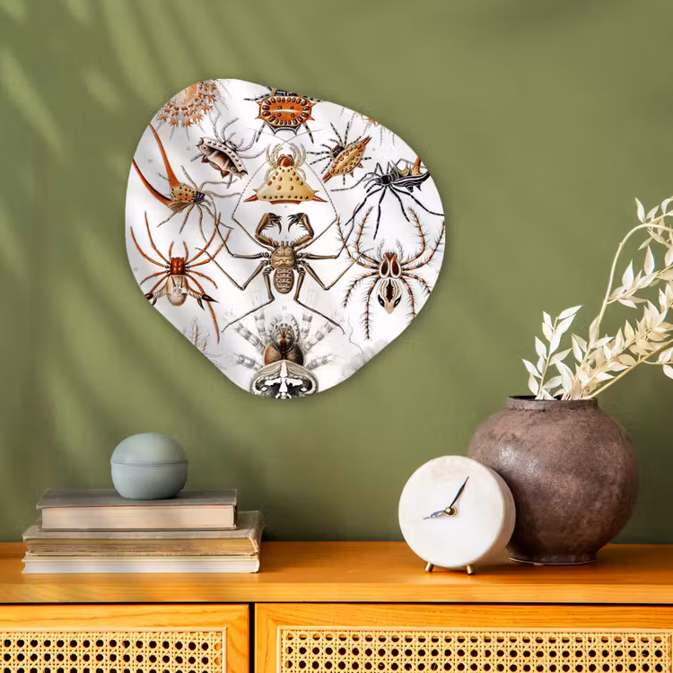 Organisch schilderij - Forex - Retro - Spin - Ernst Haeckel - Spinnen — 2