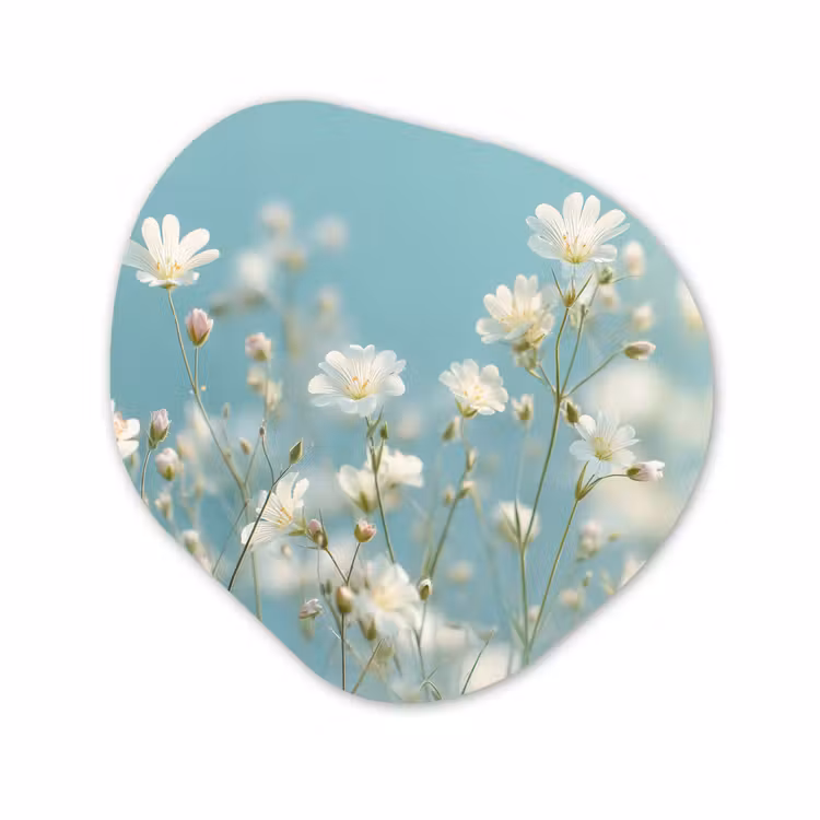 Organisch schilderij - Glas - Stengels - Bloemen - Lucht - Wit — 1