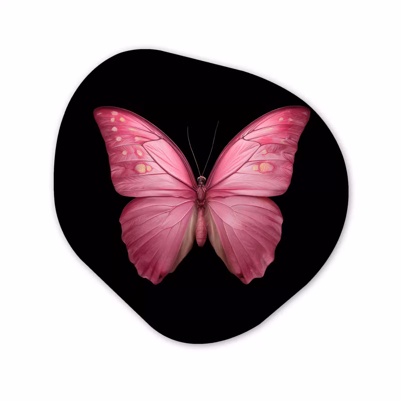 Organisch schilderij - Forex - Vlinder - roze - Elegant — 1