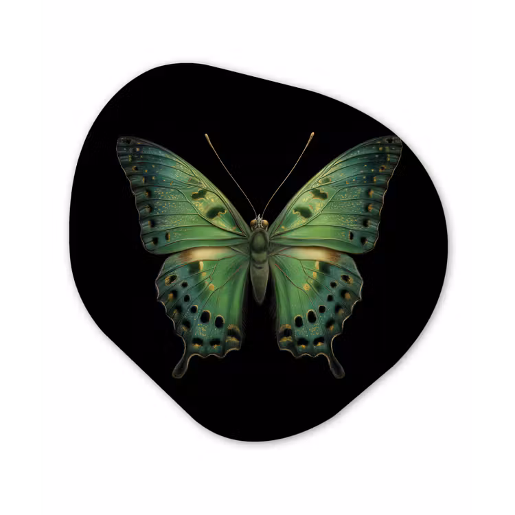 Organisch schilderij - Forex - Vlinder - Groen - Diepte — 1