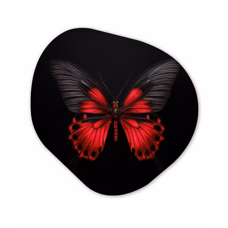 Organisch schilderij - Forex - Vlinder - Rood - Contrast — 1