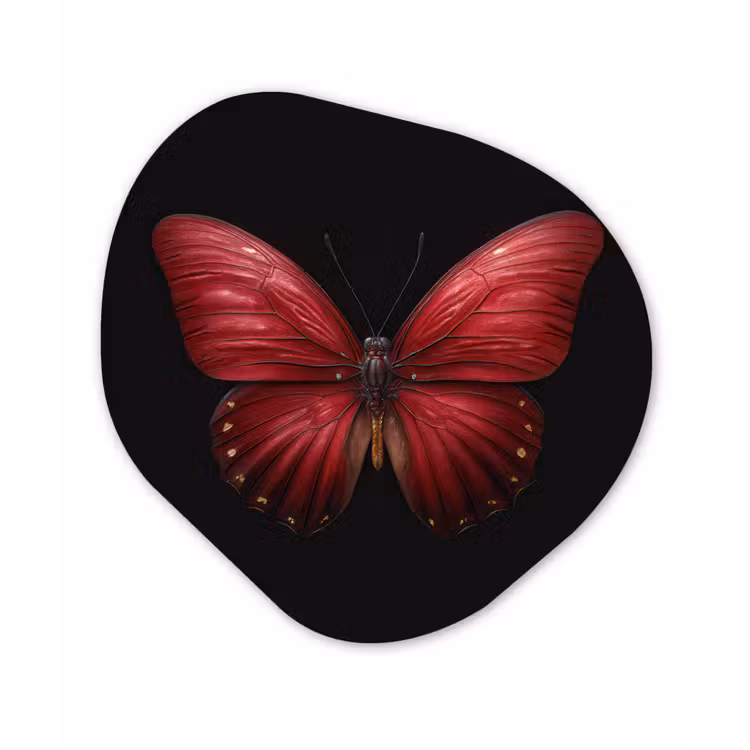 Organisch schilderij - Forex - Vlinder - Rood - Minimalistisch — 1