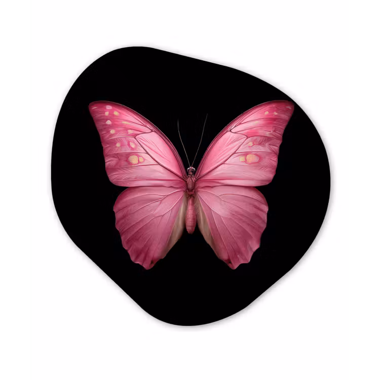 Organisch schilderij - Forex - Vlinder - roze - Elegant — 1