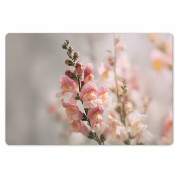 Placemat - 6 stuks - Bloem - Leeuwenbek - Roze - Stengel — 7