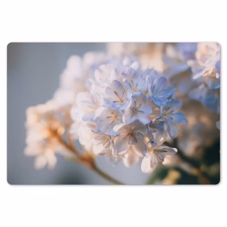 Placemat - 6 stuks - Bloemen - Lichtblauw - Wazig - Trosje — 7