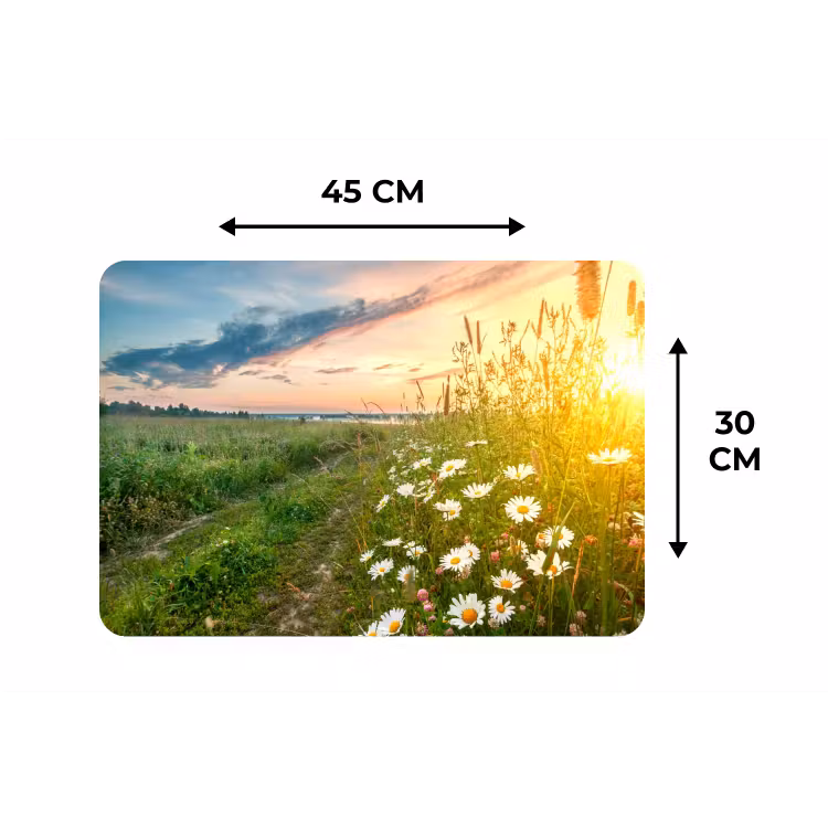 Placemat - 6 stuks - Bloemen - Madelief - Natuur - Zon - Horizon — 2
