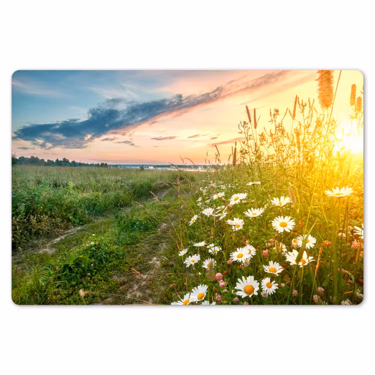 Placemat - 6 stuks - Bloemen - Madelief - Natuur - Zon - Horizon — 6