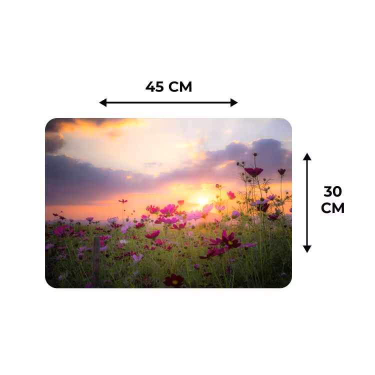 Placemat - 6 stuks - Bloemen - Roze - Zonsondergang - Natuur - Weide - Horizon — 2