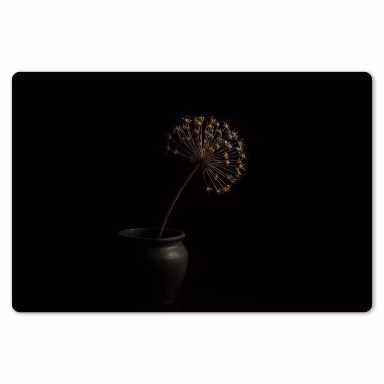 Placemat - 6 stuks - Bol - Gedroogd - Vaas - Zwart — 7