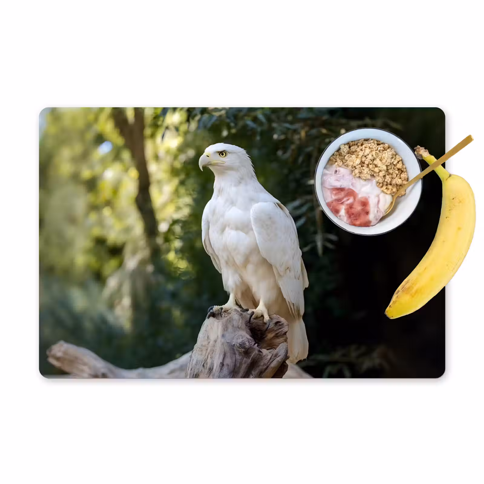 Placemat - 6 stuks - Arend - Hout - Wit - Planten — 1
