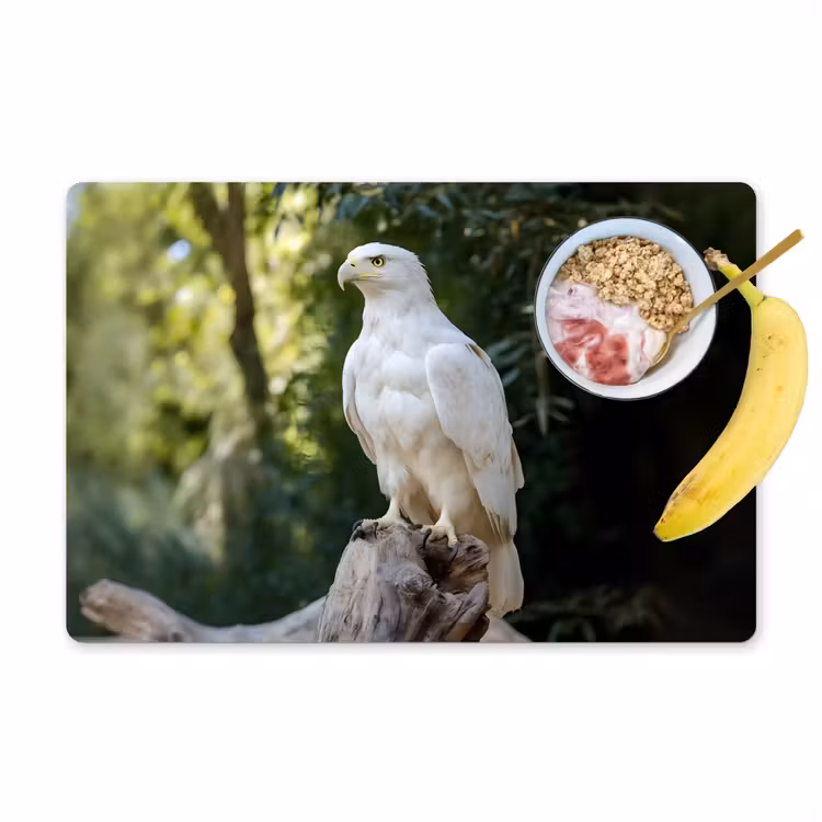 Placemat - 6 stuks - Arend - Hout - Wit - Planten — 1