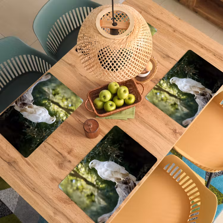 Placemat - 6 stuks - Arend - Hout - Wit - Planten — 6